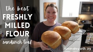 FRESHLY MILLED flour SANDWICH loaf • quick amp easy • yeast [upl. by Unders]