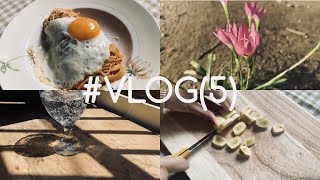 VLOG 5  Oatmeal  Spaghetti  Egg roll  Soy Milk  Ulang tahun saudara  daily vlog  Nadia [upl. by Dollie]