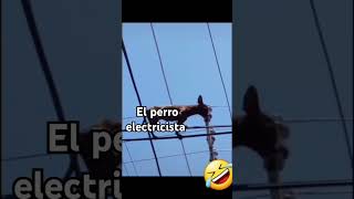 El perro electricistaelectricidad electronica comedia [upl. by Giacopo]