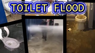 TOILET FLOOD COMPILATION [upl. by Aniraad]