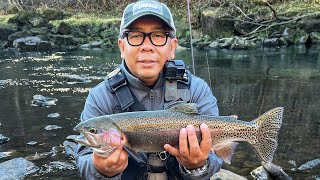 Trout Ultralight BFS fishing John F Kennedy Park Little Red River HEBER SPRINGS ARKANSAS [upl. by Irab]