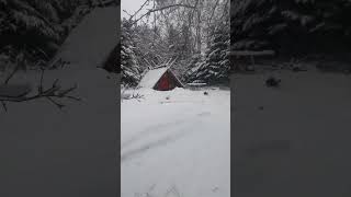 snowshoeing with my old dog to the semi permanent winter bushcraft shelter [upl. by Aitra564]