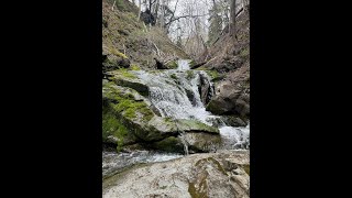 Northeast Mabou Falls Cape Breton Island [upl. by Wiburg491]