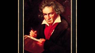 Ludwig Van Beethoven  5th Symphony [upl. by Con]