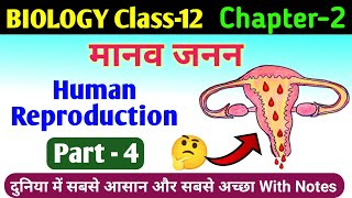 biology class 12 chapter 2  human reproduction in hindi  manav janan class 12th biology scienceSK [upl. by Rosemonde319]