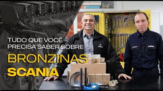 DIREÇÃO CERTA  BRONZINAS SCANIA [upl. by Rehotsirk]