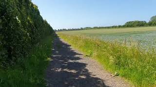 Near Roundstone Farm [upl. by Modeste957]