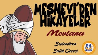 Mesneviden Seçme Hikayeler  Mevlana Sesli Kitap Tek Parça Salih Gececi [upl. by Nwahsav]