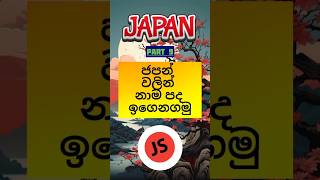 JLPT and JFT Exam Vocabulary  Nouns in Sinhala🇯🇵🌸සිංහලෙන් ජපන් ඉගෙනගමු [upl. by Aeslek]