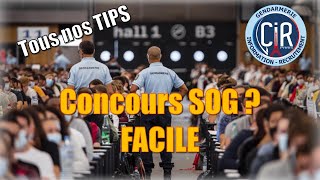 CONCOURS SOG  COMMENT REUSSIR [upl. by Rizzo390]