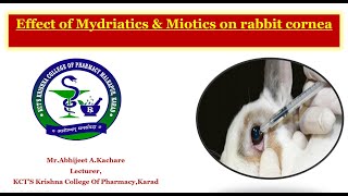 Expt no 14 amp 15 Effect of Mydriatics amp Miotics on rabbit cornea [upl. by Hgiel]