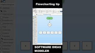 Effective Flowcharting Adding Multiple Choices Efficiently [upl. by Sellihca]