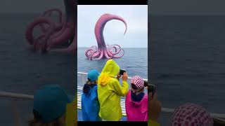 From Classroom to Ocean Adventure 🌊  The Gulfs Mysterious Creature [upl. by Smailliw]