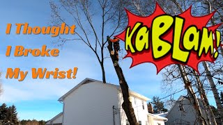 Arbor Care Big Oak Removal Never Under Estimate the Wind [upl. by Routh]