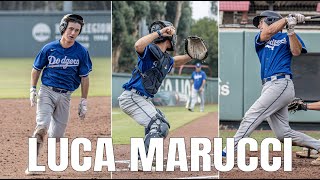 Luca Marucci 2026  Highlights 24 [upl. by Atnauqahs235]