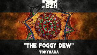 Tonynara  The Foggy Dew [upl. by Tannenwald44]