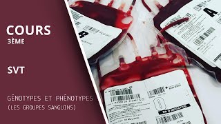 Comprendre la différence entre phénotype et génotype avec les groupes sanguins [upl. by Valentin]
