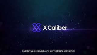 X Caliber Brand Film English [upl. by Euhsoj]