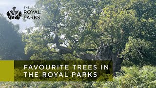 Trees of Londons Royal Parks [upl. by Bourque]