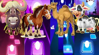 Buffalo🦬🆚Horse🐎🆚Camel🐪🆚Cow🐄Tiles Hop [upl. by Anitsyrhc]