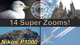 Variety of Nikon COOLPIX P1000 Zoom Tests EP 1 [upl. by Eiramassenav]