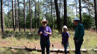 Evaluating RedCockaded Woodpecker Forest Habitat Quality [upl. by Bena]