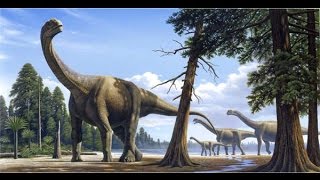 Camarasaurus File [upl. by Waldos109]