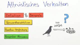 Altruistisches Verhalten  Biologie  Neurobiologie und Verhalten [upl. by Dahlstrom334]