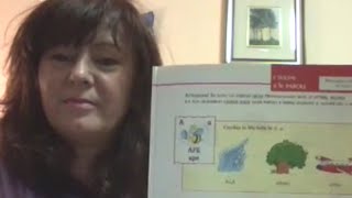 CORSO DI LINGUA ITALIANA المدرسة الايطاليةLezione n 1 ALFABETO ITALIANO susyschannel5593 [upl. by Hutson365]