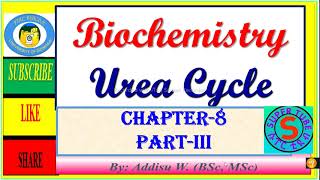 3 Urea Cycle ammonia toxicity transamination excretion protein metabolism biochemistry [upl. by Vittorio]