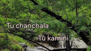 Chand Tu Nabhatla  Chand Tu Nabhatala Marathi Song  तू चंचला तू कामिनी  Tu chanchala Tu kamini [upl. by Suivatnom421]