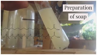 Saponification reaction demonstrationquick [upl. by Nosila]