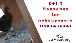 Hønsehus for nybegynnere [upl. by Torruella391]