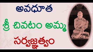 అవధూత శ్రీ చివటం అమ్మ సర్వజ్ఞత్వంchivatam amma avadootha avadutha youtuber youtube godavari [upl. by Reteid]