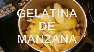 GELATINA DE MANZANA NATURAL [upl. by Dahaf]