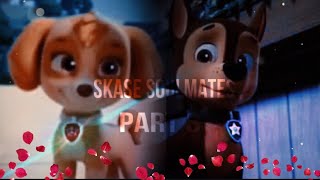 Skase Soulmates Part 3Last Part🩷💙🐾 [upl. by Mcripley]