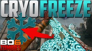 Best Augment Combinations For The Cryo Freeze Ammo Mod [upl. by Cnahc]