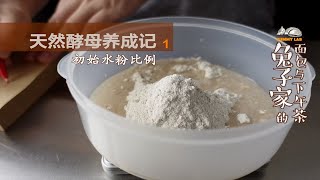 天然酵母养成记（1）：初始水粉比例 [upl. by Esiuole712]