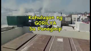 KAHULUGAN NG GORILYA SA PANAGINIP [upl. by Ivar]