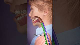 Swallowing Down The Wrong Pipe 😟 scienceexperiment sciencefacts ytshort [upl. by Ecinert]