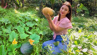 Province Life Philippines  Cooking Kalabasa or Squash with Coconut Milk and Crabs [upl. by Glendon643]