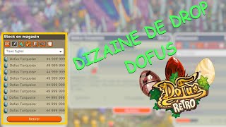 DES DOFUS DANS TOUS LES SENS SUR DOFUS RETRO [upl. by Landon803]