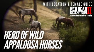 🗣 Red Dead Redemption 2 Herd of Wild Appaloosa Horses  Female Guide  Location [upl. by Aspasia]