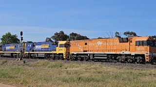 6PM6 PN quotLinfox Express 1quot 4 NRs Perth to Melbourne 1625 281024 Ararat South VIC [upl. by Zurciram322]