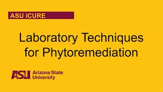 Laboratory Techniques For Phytoremediation [upl. by Eelrahc]