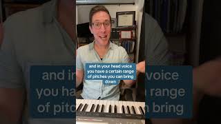 Vocal Flipping Voice Teacher Analyzes Caroline Polacheks Technique [upl. by Ellennahc]