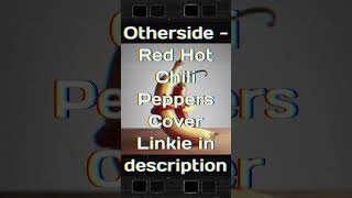 Otherside  Red Hot Chili Peppers cover music guitar rock coversong [upl. by Yelsek444]