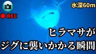 【水中映像】青物狙いでフォール中がいかに大事かよくわかる捕食シーン 釣り ジギング [upl. by Anohr]