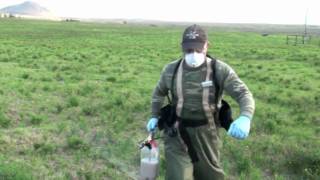 New Herbicides in Fireweed Management [upl. by Avla]