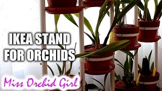 Using IKEA plant stand SOCKER with Orchids [upl. by Sherar]